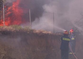 Flakët pushtojnë rajonin, edhe Athina nën pushtetin e zjarreve, evakuohen banesa e spitale