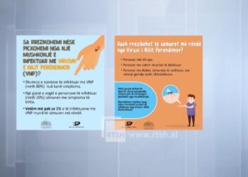 Sa të rrezikuar jemi nga “Ethet e Nilit”, ISHP: Më pak se 1% e të prekurve sëmuret rëndë