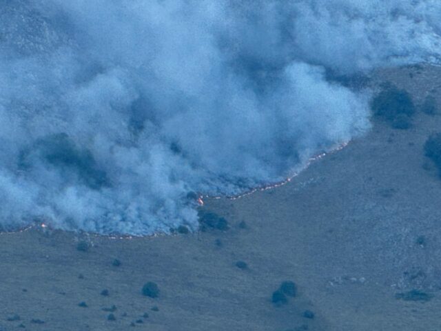 Zjarri në Parkun Kombëtar të Prespës, flakët depërtojnë në thellësi të masivit me ah, kërkohet ndërhyrja nga ajri