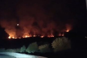 Zjarr i madh në Lushnje, përfshihet masivi me pisha në Lekaj