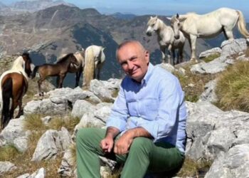 Ilir Meta takon kafshët e radhës dhe ka një mesazh: Liria dhe Shkëlzeni mua më…