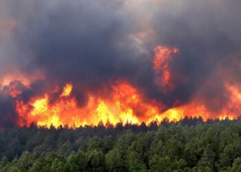 336 piromanë të ndaluar për zjarrvënieve të qëllimshme gjatë kësaj vere