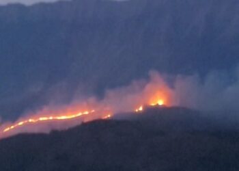 Gjirokastër / Zjarr në fshatin Topullaraj, flakët drejt antenave të mediave audiovizive