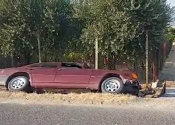 Aksident në Mamurras/ Humb drejtimin e automjetit dhe del nga rruga, përfundon te Trauma shoferi