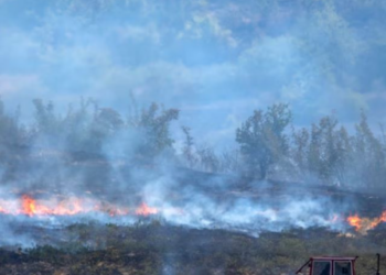 Edhe Maqedonia e Veriut në luftë me flakët, nëntë vatra zjarri ende aktive
