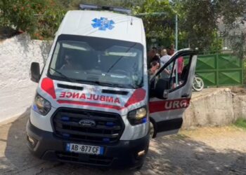 DETAJE / Vrau gruan me sopatë në Konispol, babai i autorit kishte vrarë tre gra më parë