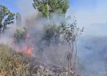 Riaktivizohet vatra e zjarrit në fshatin Konisbaltë, Policia : E vendosur qëllimisht