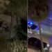 VIDEO / ‘Fut e bjer’ në Lungomaren e Vlorës, turistët rrihen me njëri-tjetrin derisa i ndan… Policia!
