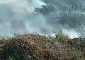 Pakujdesia e fermerëve shkakton zjarrin, përfshihen nga flakët tokat bujqësore në Dimal