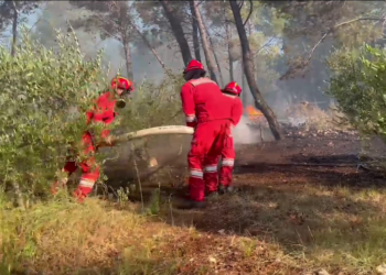 19 vatra aktive, Ministria e Mbrojtjes bën bilancin e situatës së zjarreve në vend
