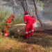 19 vatra aktive, Ministria e Mbrojtjes bën bilancin e situatës së zjarreve në vend