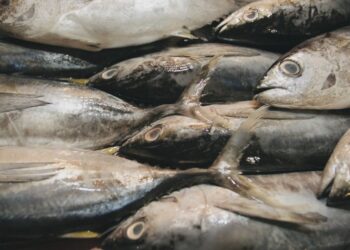 Peshku zot i tavolinave, vera ndryshoi konsumin, mishi dhe zarzavatet me pak te preferuara