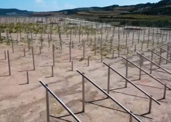 Ish-fabrika e tullave në Lushnjë së shpejti në park prodhimi energjie diellore, Rama ndan pamjet