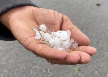 Breshëri dëmton fermën e bletëve në Pogradec