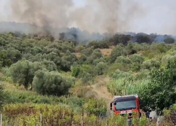 Zjarri në fshatin Frakull i vogël në Fier rrezikn banesat, terreni i vështirë bën të pamundur ndërhyrjen e zjarrfikësve