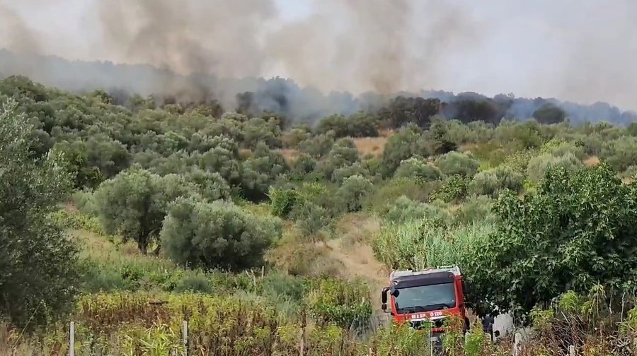 Vijojnë vatrat aktive të zjarreve në Lezhë dhe Shkodër, në terren forcat zjarrëfikëse për mbrojtjen e banesave