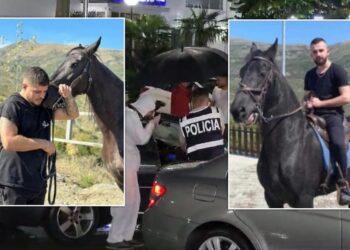 VIDEO/ “Kur plumbat e krimit prekin të pafajshmit”