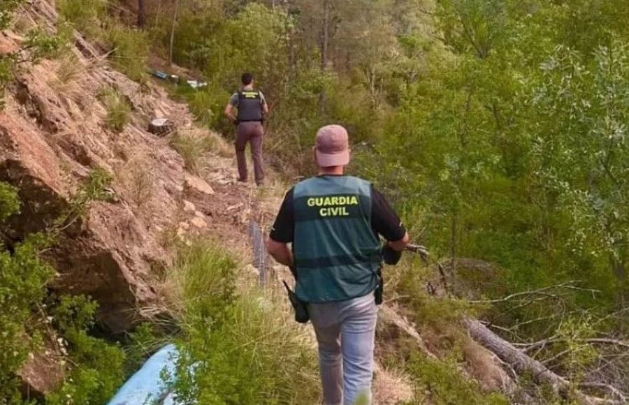 Kultivoi kanabis në pyll, bie në prangat e policisë spanjolle 44-vjeçari shqiptar, në kërkim bashkëpunëtori