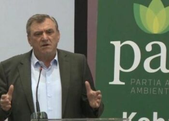 Shqipëria në luftë me flakët, PAA: Duhet të mbështesim Mbrojtjen Civile, vendi po digjet