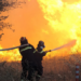 Erë e fortë dhe temperatura mbi 40 gradë Celsius në Greqi, meteorologët: Parashikohet rrezik për vatra të reja zjarri