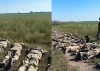 Ukraina vijon ofensivën brenda territorit rus,Publikohen pamjet nga kapja rob e mbi 100 ushtarëve të Putinit (VIDEO)