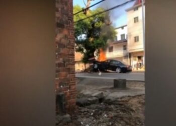 Kur natyra del më e fortë se teknologjia/ Pema 400 vjeçare nuk tundet nga përplasja me makinën luksoze, automjeti  shkrumbohet i tëri