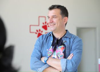 Streha e kafshëve në Tiranë me standarde europiane, Veliaj apel qytetarëve: Mos i braktisni kafshët në rrugë, silleni për adoptim