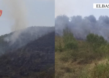Ndezi zjarr në tokën e tij, por dogji një sipërfaqe me pemë frutore dhe ullinj, e pëson i moshuari në Elbasan