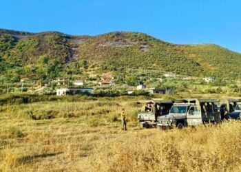 Shuhen zjarret në Finiq dhe Delvinë, vijon monitorimi i situatës