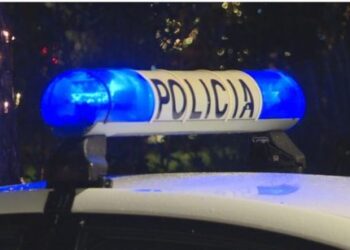 Shqiptari tmerron dasmorët, futet në sallë dhe qëllon me armë