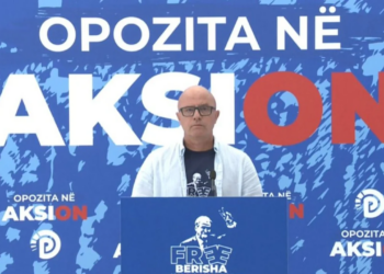 Vrasja e Egli Progës, PD: U vra nga banda e patronazhistëve të rrugës