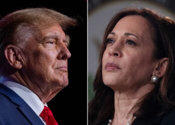 Trump apo Harris? Ja ç’parashikon sondazhi i fundit! Si ndahet mbështetja në shtetet kyçe