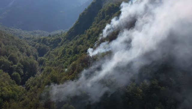 Zjarret në Shkodër, në mbështetje të zjarrfikësve shkojnë edhe forcat e ushtrisë