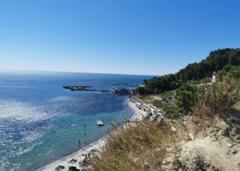 Plazhi i Currilave, një nga pikat kryesore turistike të Durrësit. Pushuesit: Ujë i pastër dhe natyrën e bukur