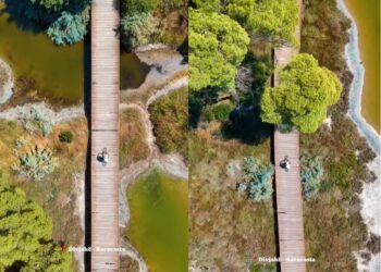 Video/ Pamje mahnitëse nga Parku Kombëtar Divjakë-Karavasta, Rama: 67 mijë turistë e vizituan në korrik