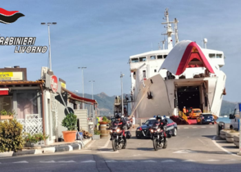 Çmontohet rrjeti i trafikut të drogës në Itali, në krye të bandës një shqiptar, katër arrestime