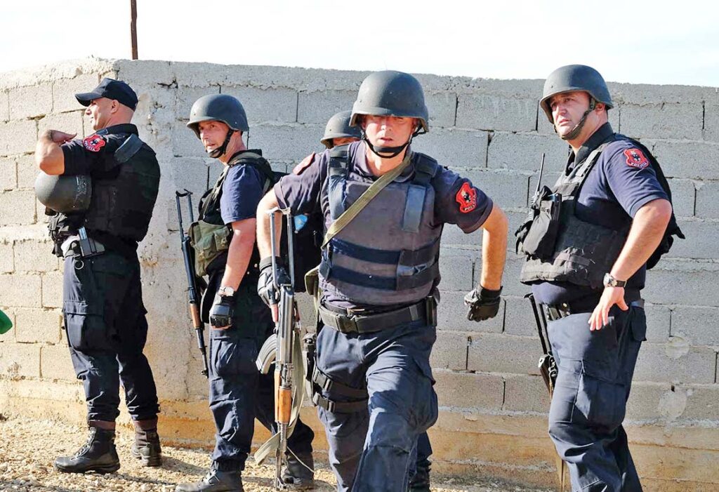 Operacion masiv në Krujë, qindra efektivë në terren, asgjësohen bimë narkotike