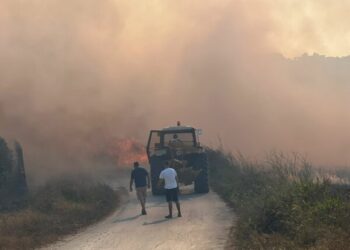 Zjarr masiv pranë plazhit të Gjeneralit, rrezikohen banesat