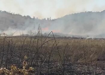 Përfshihen nga flakët katër fshatra të Zadrimës, zjarri rrezikon banesat