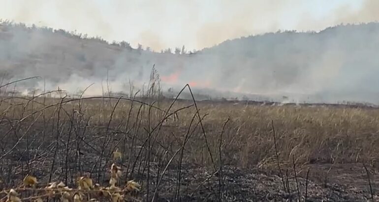 Përfshihen nga flakët katër fshatra të Zadrimës, zjarri rrezikon banesat