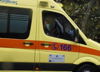 Tragjike/I ra sipër dera e garazhit, ndërron jetë 3-vjeçari shqiptar! Arrestohen prindërit e vogëlushit