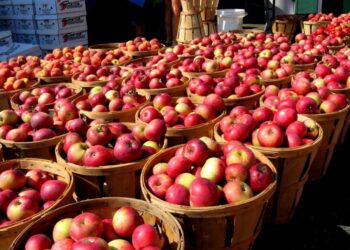 Shitja e prodhimeve bujqësore, fermerët e Korçës duan që çmimet t’i përcaktojnë vetë