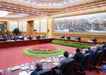 Thellohen shkëmbimet ndërparlamentare të vendeve në zhvillim