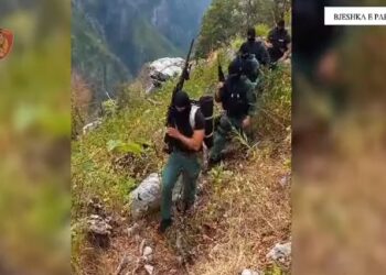 “Betejat” e kultivuesve të drogës me policinë, rastet e dy dekadave kur trafikantët kanë ngritur dorë mbi uniformat blu