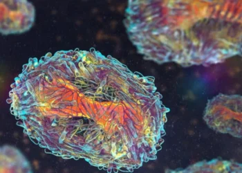 OBSH: Lija e majmunit nuk është Covid-i i ri