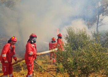 Zjarr i madh në Mallakastër, digjen dy banesa! Kërkohet ndihmë nga ajri
