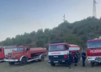 Pas disa orësh luftë me flakët, shuhen vatrat e zjarrit në fshatin Valas të Elbasanit