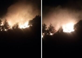 Përfshihet nga zjarri Pylli i Sodës në Vlorë, rrezikohen 10 banesa