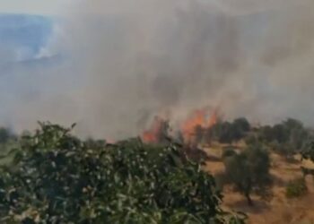 Zjarri në Mallakastër del jashtë kontrollit, situata tepër kritike! Kërkohet ndërhyrja nga ajri