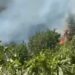 Zjarr në fshatin Drenovicë në Dimal, flakët shkrumbojnë hapësirën me bimësi